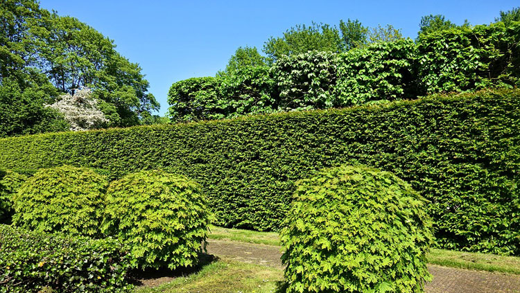 Groene erfafscheiding